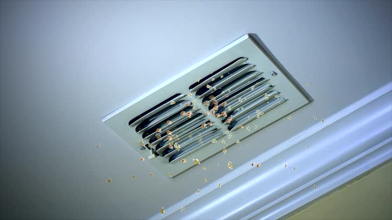 Ductwork Cleaning Services in Biggs, CA